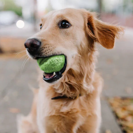 Interactive Dog Ball Toy  Automatic Rolling Motion Technology - Product showcase