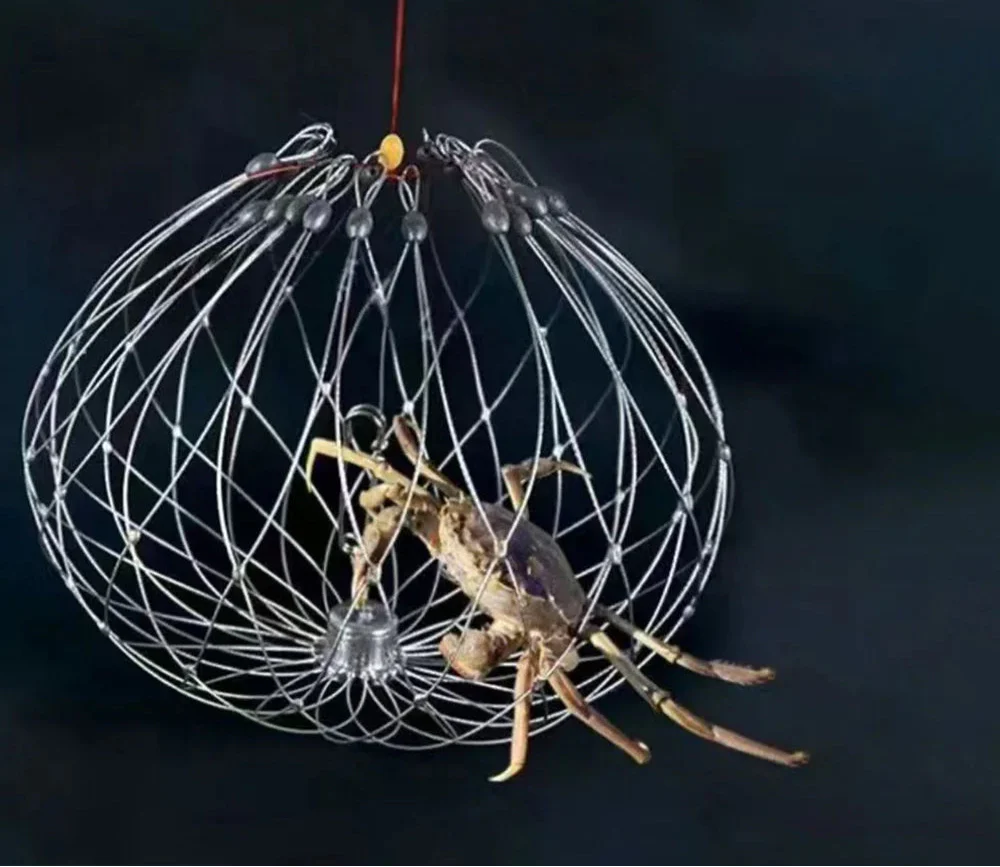 Collapsible Fishing Trap Net  Stainless Steel Mesh Design - Product detail 8