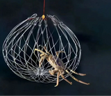 Collapsible Fishing Trap Net  Stainless Steel Mesh Design - Product detail 8