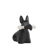 Scottie Dog Table Lamp  LED Black Resin Design - Product detail 49