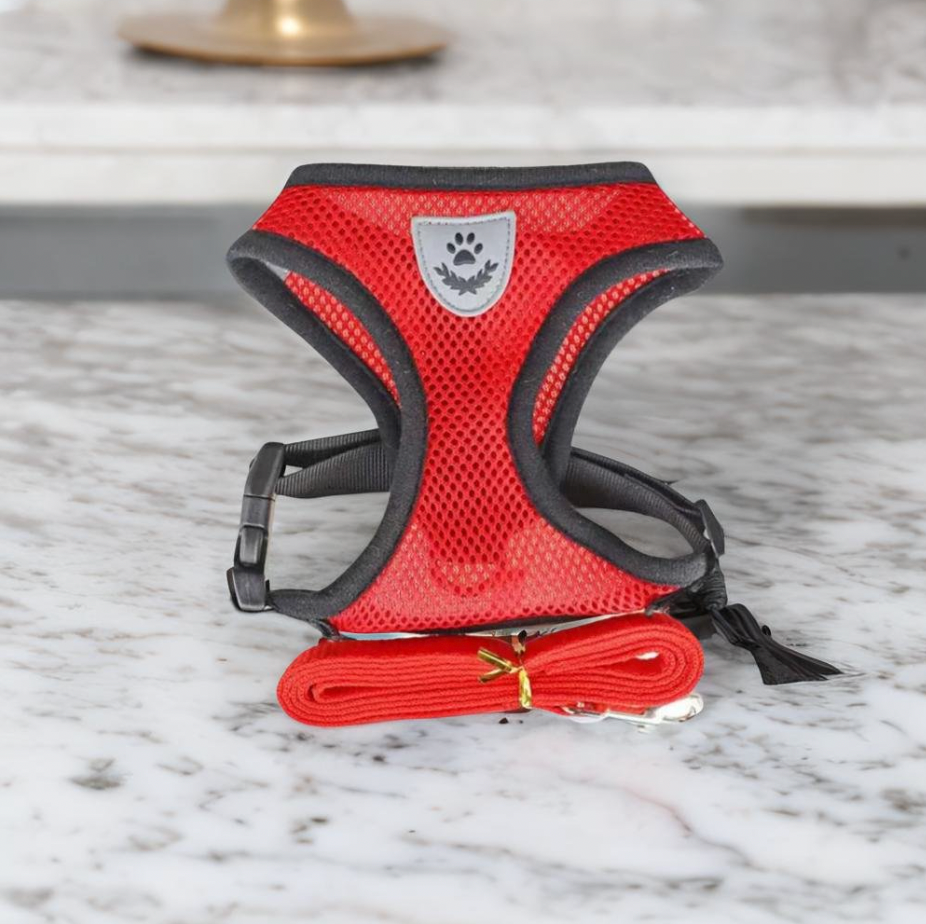 Cat Harness and Leash Set  Adjustable Mesh Design with Safety D-Ring - Detailed view