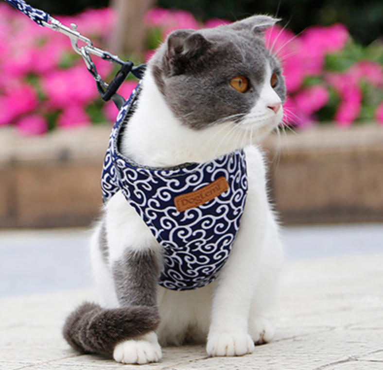 Japanese Pattern Cat Harness  Navy Blue Wave Design With Leash - Product showcase