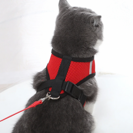Cat Harness and Leash Set  Adjustable Mesh Design with Safety D-Ring - Product showcase