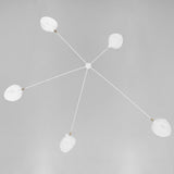 Modern Spider Ceiling Lamp  5-Arm Adjustable Metal Design - Product detail 44