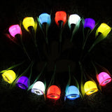 Solar Garden Tulip Lights  Multi-Color LED Path Lighting - Detailed view