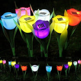 Solar Garden Tulip Lights  Multi-Color LED Path Lighting - Product showcase