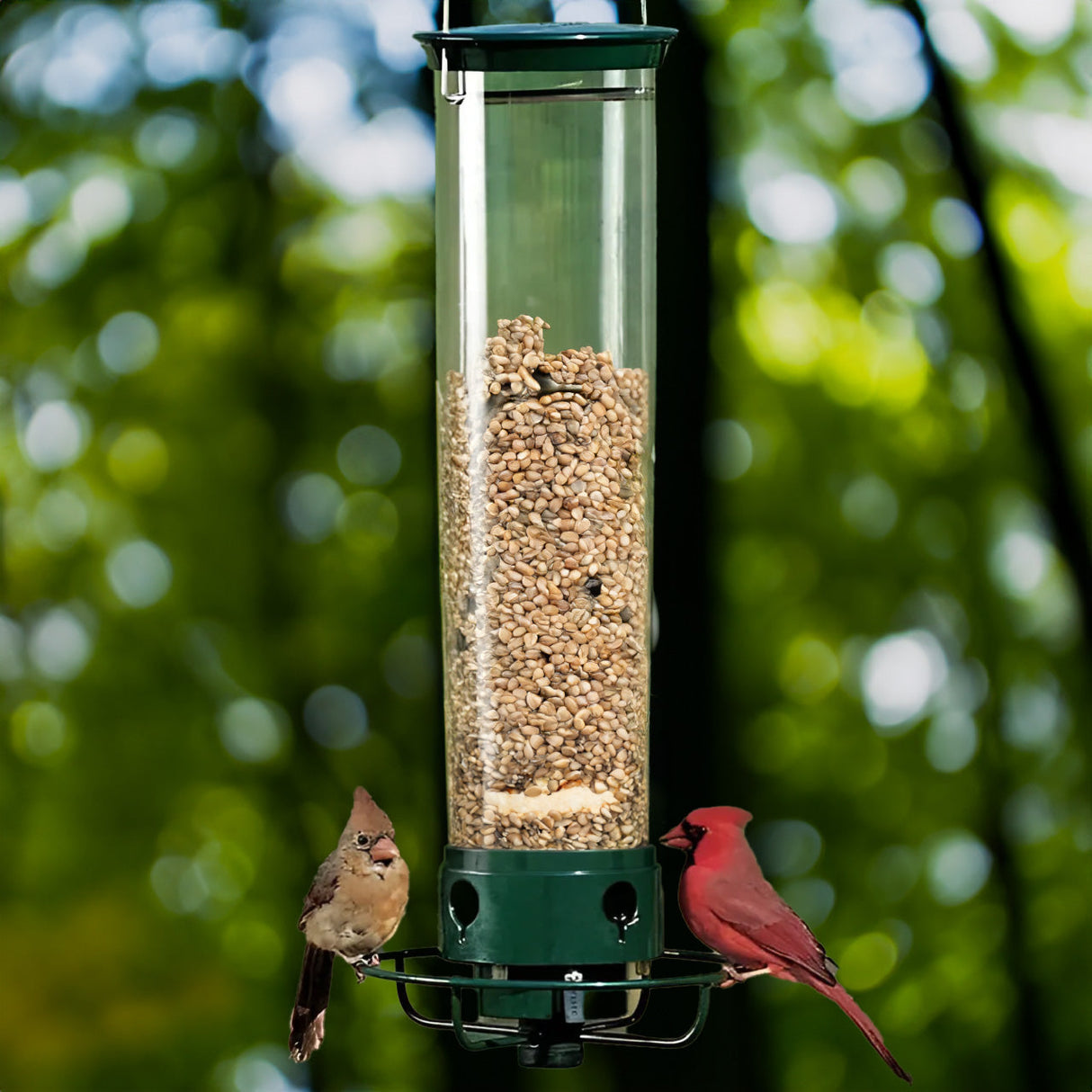 Anti-Squirrel Bird Feeder  Weight-Activated Spinning Perch Design - Product showcase