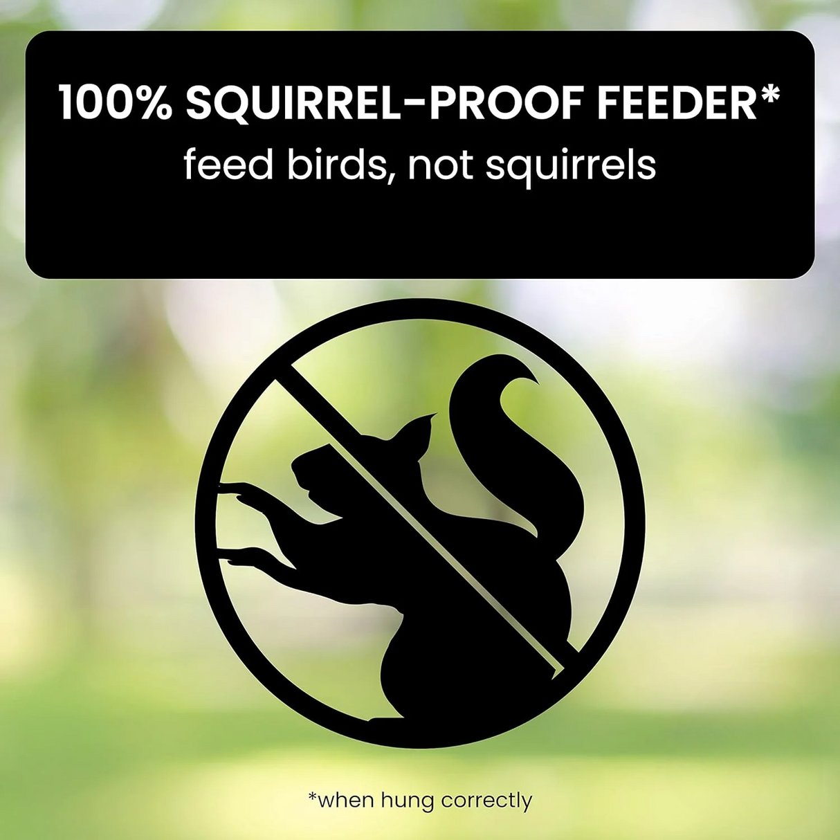 Anti-Squirrel Bird Feeder  Weight-Activated Spinning Perch Design - Detailed view