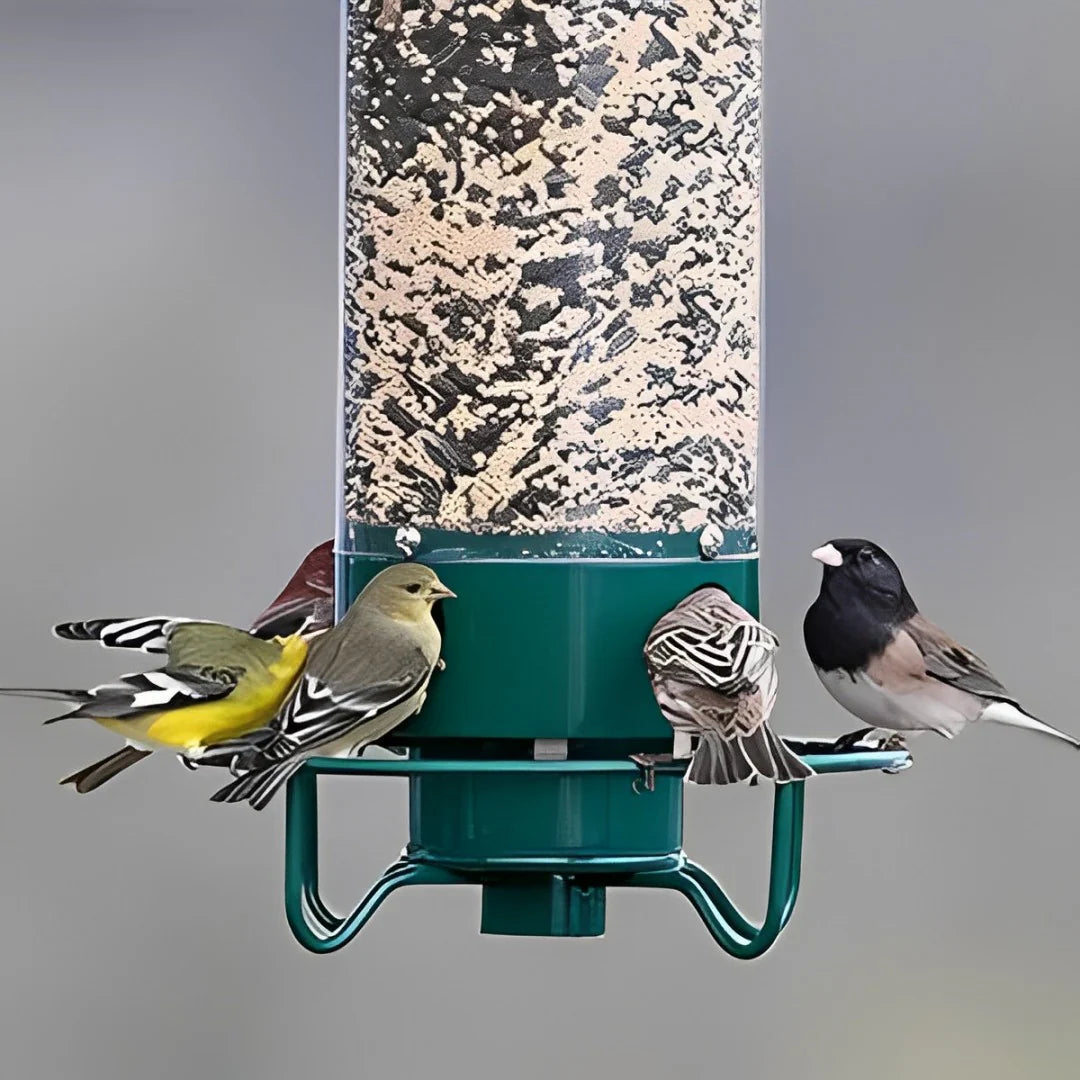 Anti-Squirrel Bird Feeder  Weight-Activated Spinning Perch Design - Product detail 5