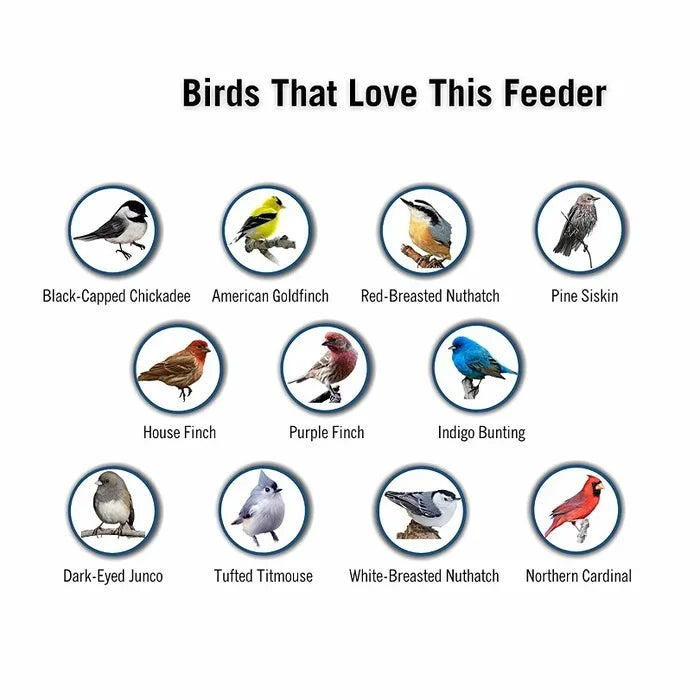 Anti-Squirrel Bird Feeder  Weight-Activated Spinning Perch Design - Product detail 6
