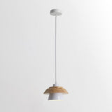 Modern Pendant Light  Wood Glass Shade Design - Product detail 18