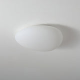 Modern LED Ceiling Light  Minimalist White Oval Design - Product detail 12