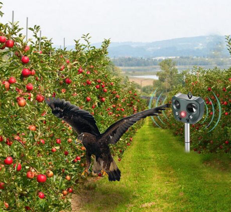 Solar Ultrasonic Bird Repeller  Motion Sensor Garden Protection - Product detail 4