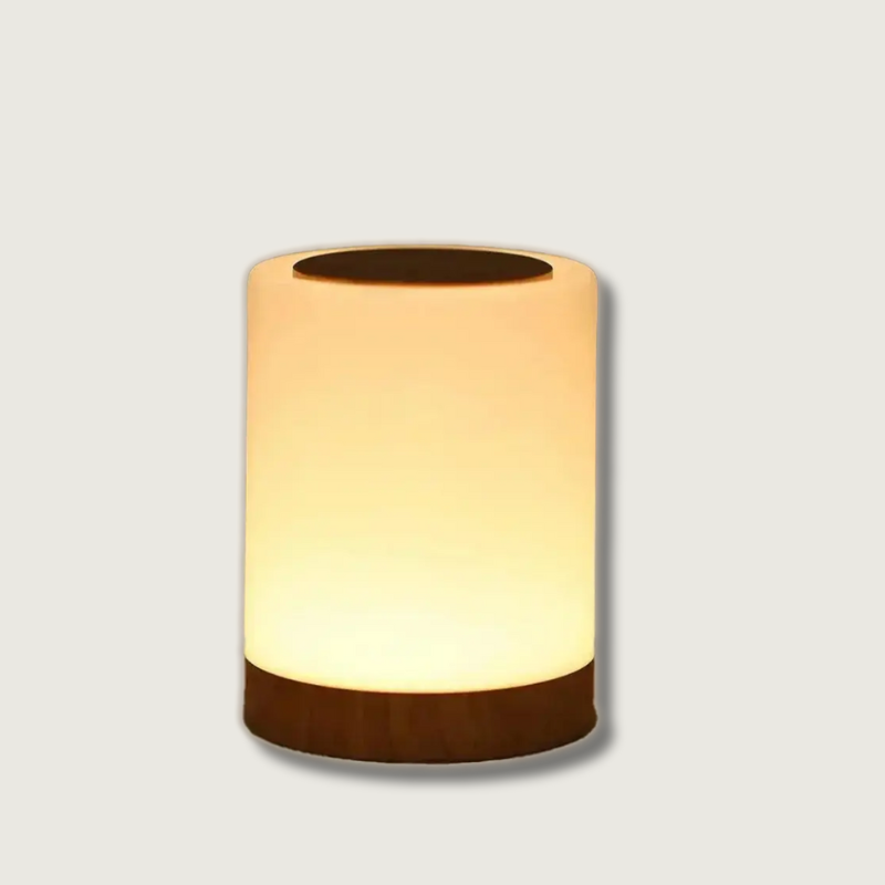 Modern Touch Sensor Lamp  Wooden Base LED Ambient Light - Product showcase