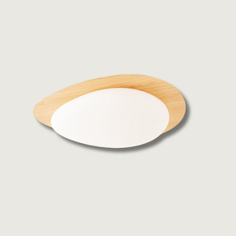 Modern LED Ceiling Light  Natural Wood Frame Design - Product showcase