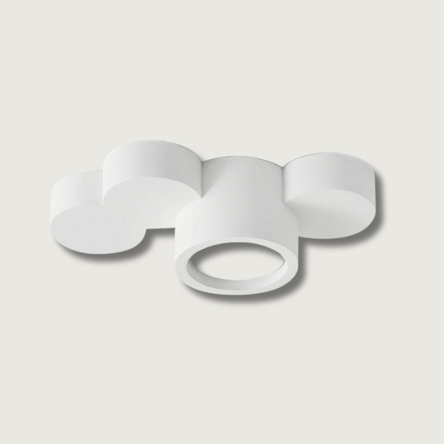 Modern Surface Mounted Ceiling Light  Multi-Head Downlight Spotlight - Product showcase