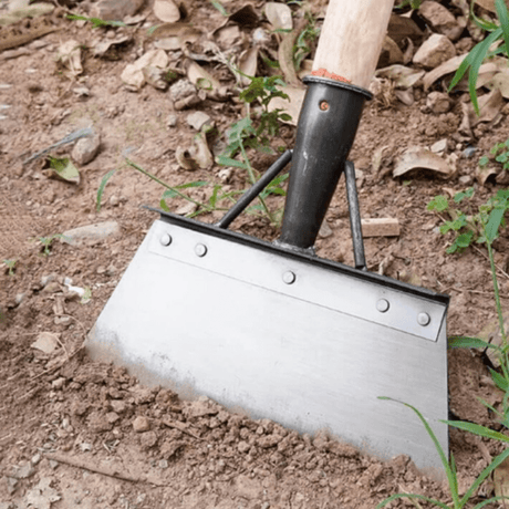 Garden Maintenance Tool  Professional Stainless Steel Scraper - Product detail 4
