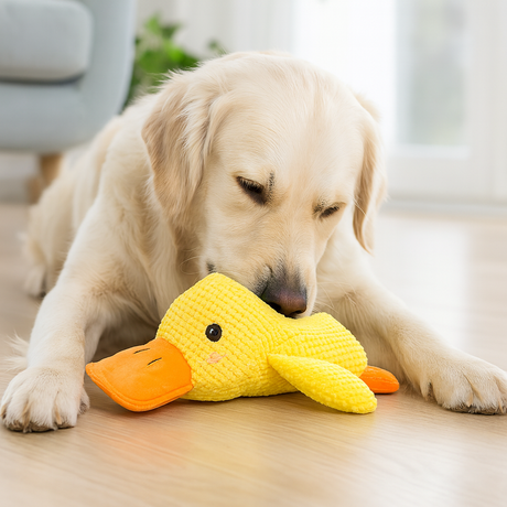 Plush Duck Dog Toy  Soft Squeaky Chew Toy - Product showcase