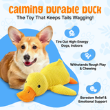 Plush Duck Dog Toy  Soft Squeaky Chew Toy - Product example