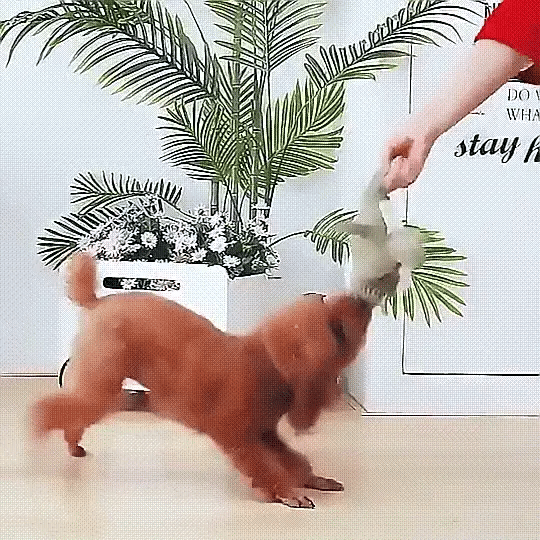 Plush Crocodile Dog Toy  Textured Fabric with Built-In Squeaker - Product detail 5