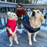 Winter Dog Coat  Built-in Safety Harness Design - Detailed view