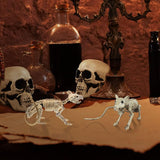 Gothic Skeleton Bat  Halloween Wall Hanging Decoration - Product detail 5