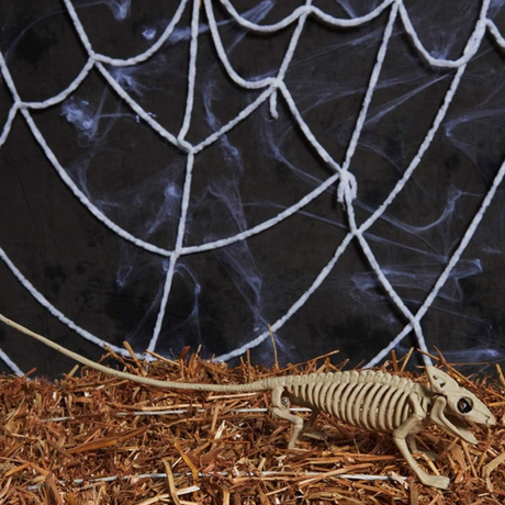 Gothic Skeleton Bat  Halloween Wall Hanging Decoration - Product detail 9