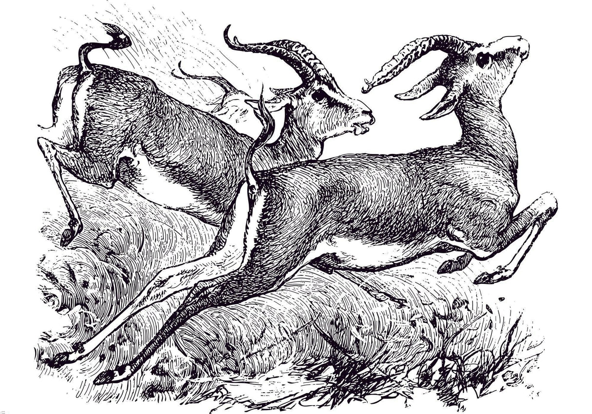 Wildlife Mural Wallpaper | Vintage Black and White Gazelle Sketch