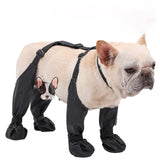 Protective Dog Boots  All-Weather Paw Guards - Product example