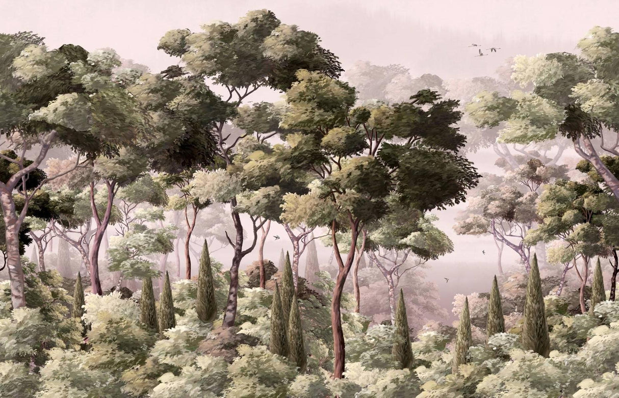 Wald Tapete | Nebelgrüne Waldlandschaft