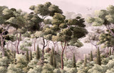 Wald Tapete | Nebelgrüne Waldlandschaft