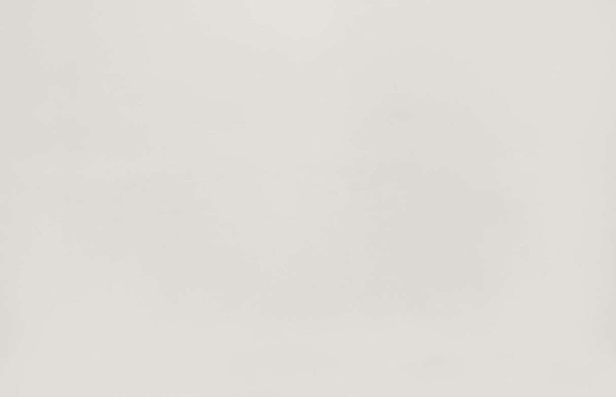 Plain Mural Wallpaper | Minimalist Beige Design