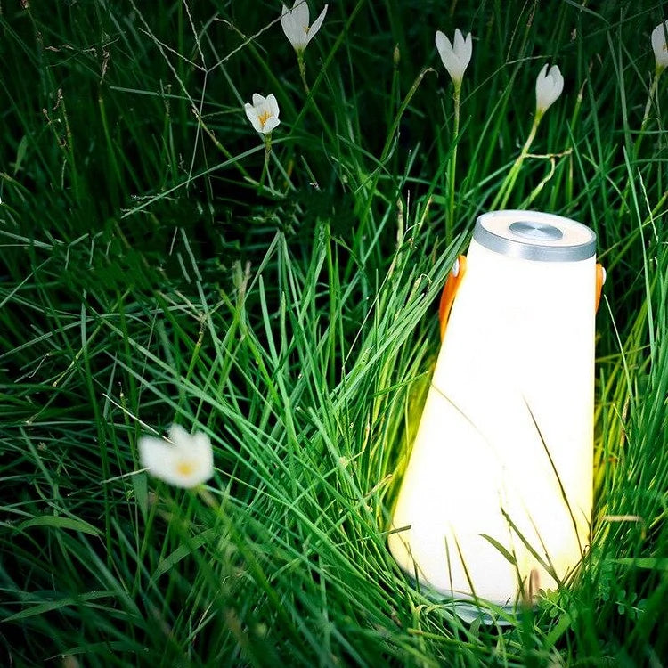 Portable LED Lantern  Rechargeable Outdoor Light With Handle - Product detail 4