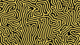 Black and Gold Geometric Maze wallpaper design file showing intricate pattern detail