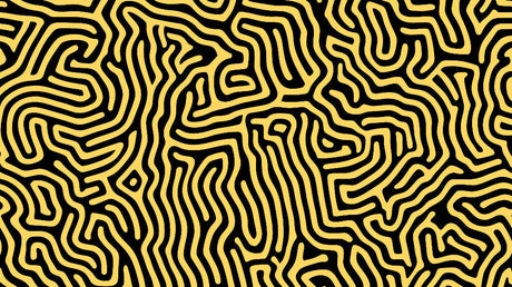 Black and Gold Geometric Maze wallpaper design file showing intricate pattern detail