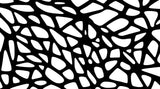 Black and White Geometric Pattern design file showing intricate web-like shapes and organic forms