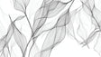 Black and white leaf line art wallpaper creating a modern feel in a bright living room with minimal furniture