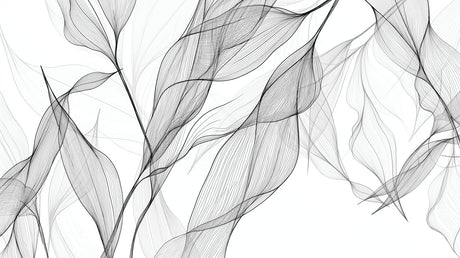 Black and white leaf line art wallpaper creating a modern feel in a bright living room with minimal furniture