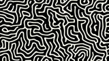 Abstract maze pattern wallpaper design file showing intricate black and white geometric details