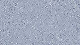 Navy blue geometric pattern design file showing flowing lines and organic shapes