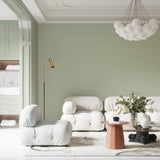Modern sage green wall design in entrance hallway showing full height application