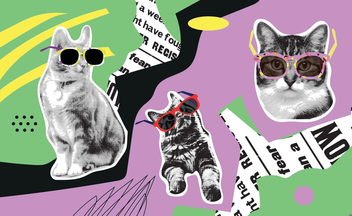 Pop Art Mural Wallpaper | Cool Cats With Sunglasses Design
