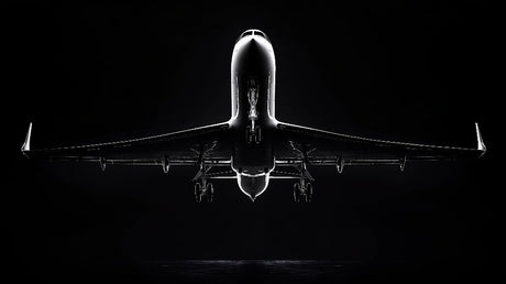 Black and white airplane wall mural design file showing detailed aviation photography pattern