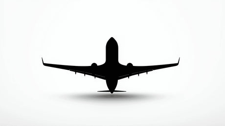 Black and white airplane silhouette design file showing precise details and clean lines