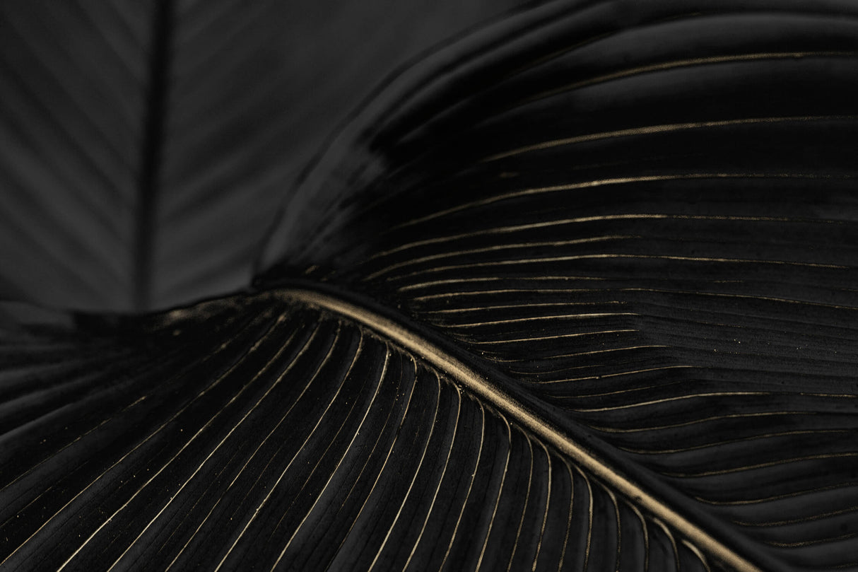 Art deco black and gold leaf pattern design file showing intricate details