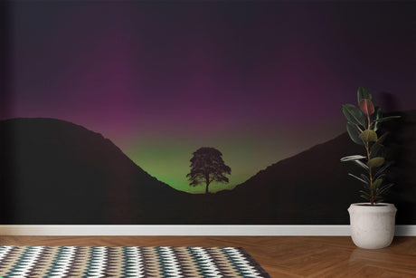 Aurora Borealis wallpaper mural shown in a modern living room, green and purple northern lights dancing above mountains
