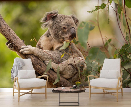 Koala wallpaper mural creating a calm atmosphere in a modern nursery with natural light and wooden furniture