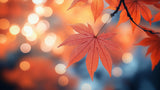Autumn maple leaf design file showing detailed leaf pattern with bokeh background effect