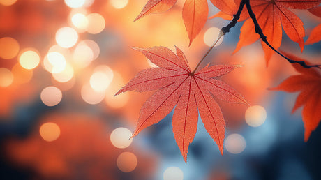 Autumn maple leaf design file showing detailed leaf pattern with bokeh background effect