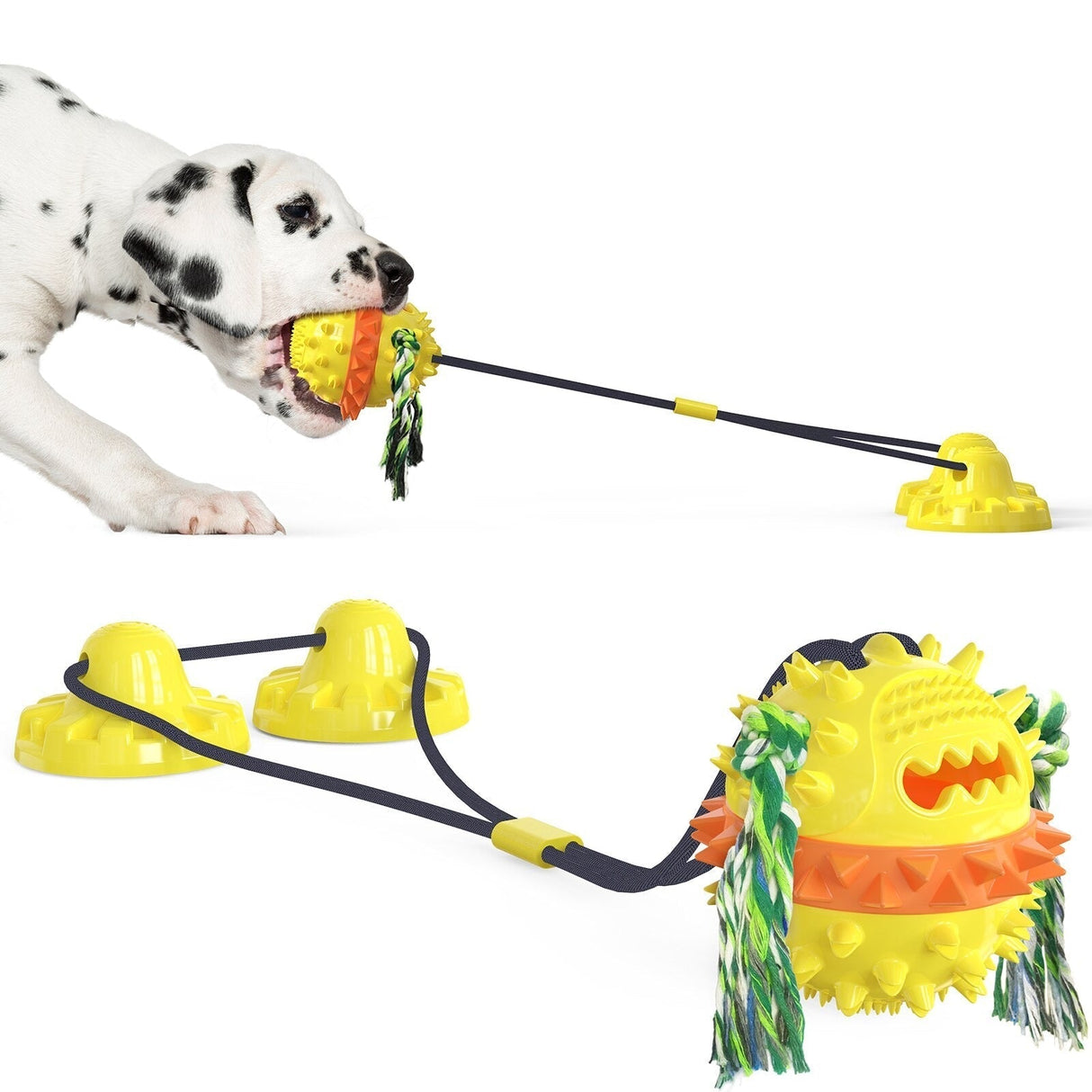 Interactive Dog Toy  Suction Cup Base with Dental Chew Ball - Product detail 7